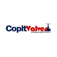 COPIT VALVES TECHNOLOGY DE MEXICO S.A.