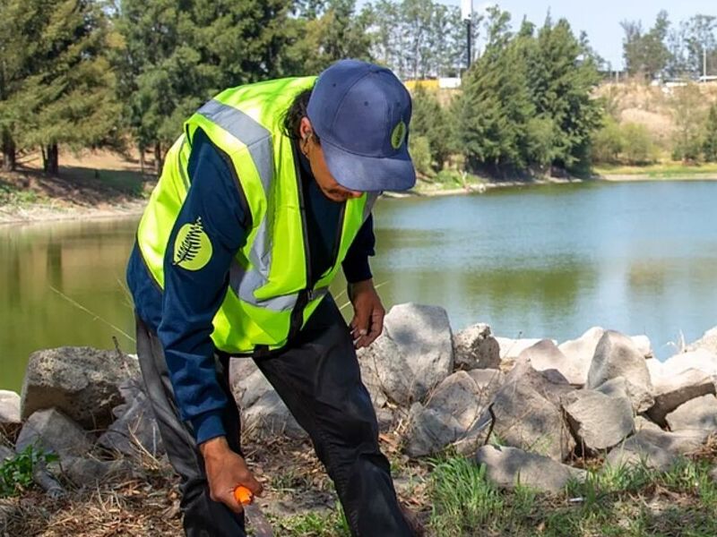 Desarrollo de Áreas Verdes MEXICO