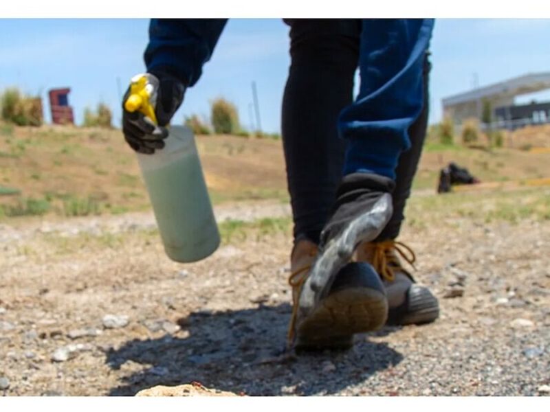 FERTILIZACION MEXICO