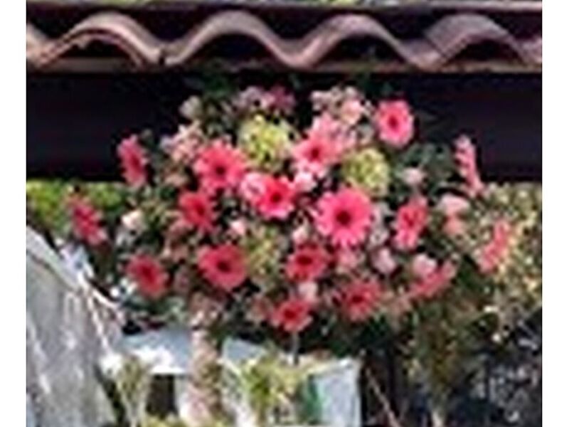 Florero Mesa Mexico
