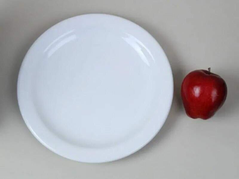 Platos Redondos México
