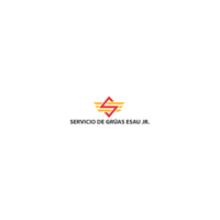 Servicio de Gruas Esau Jr.