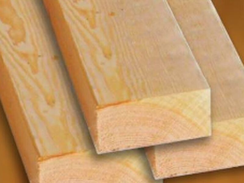 Douglas Fir México 