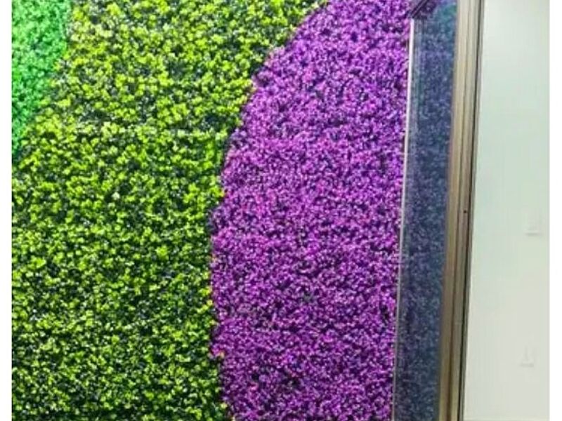 Muro verde México
