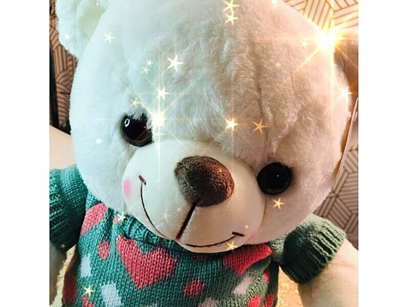 Peluche Infantil 6 México