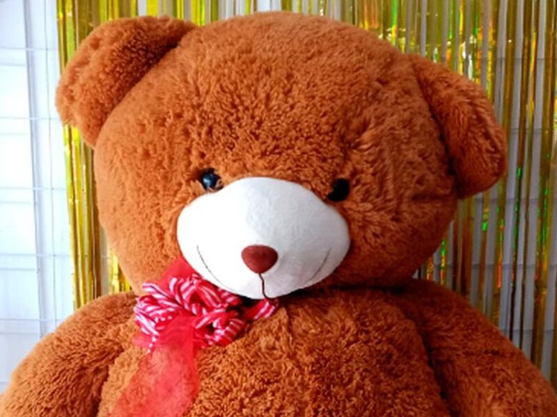 Peluche Infantil 1 México