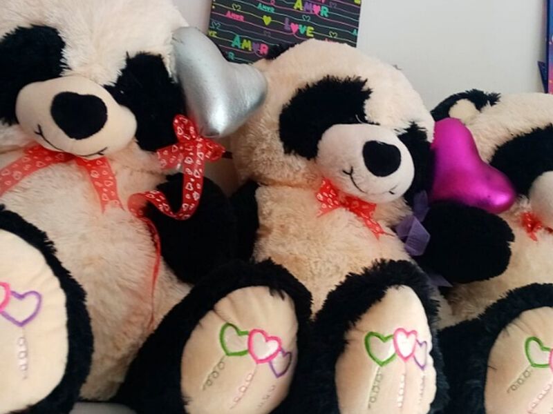 Peluche Infantil 9 México