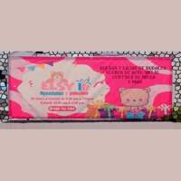 Peluches y Regalos Elsy