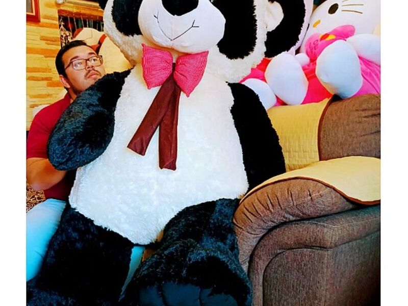 Peluches Infantiles 1 México