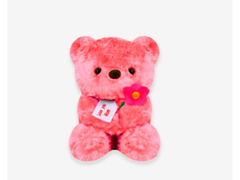 Oso Love You Rosa México