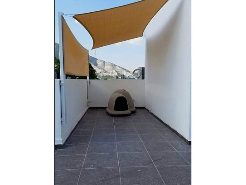 Protección solar para el perro Nuevo Leon