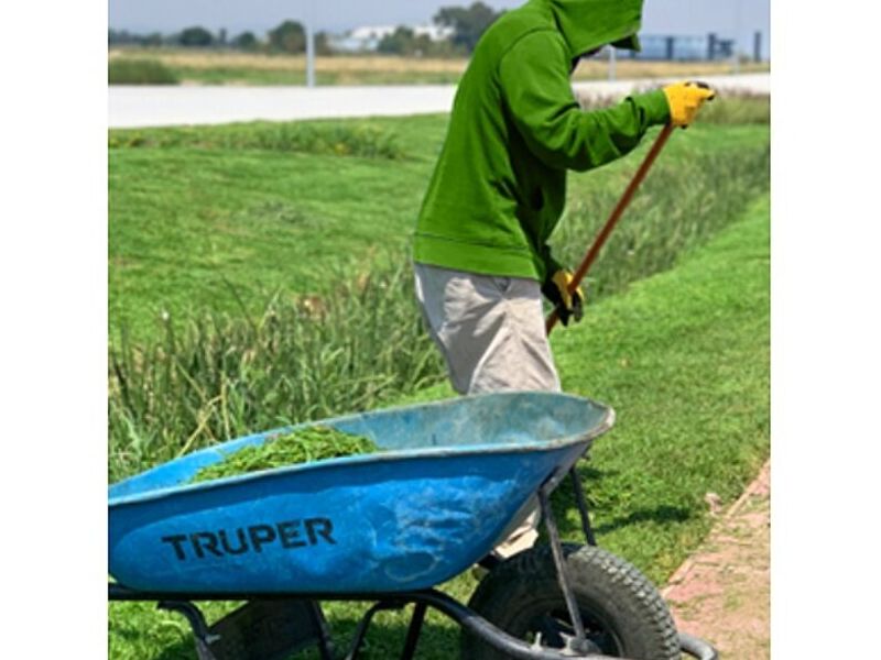 FERTILIZACION PARA JARDÍN MEXICO