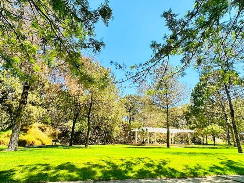 TERRENO EN VENTA, COTO ALCAZAR Mexico