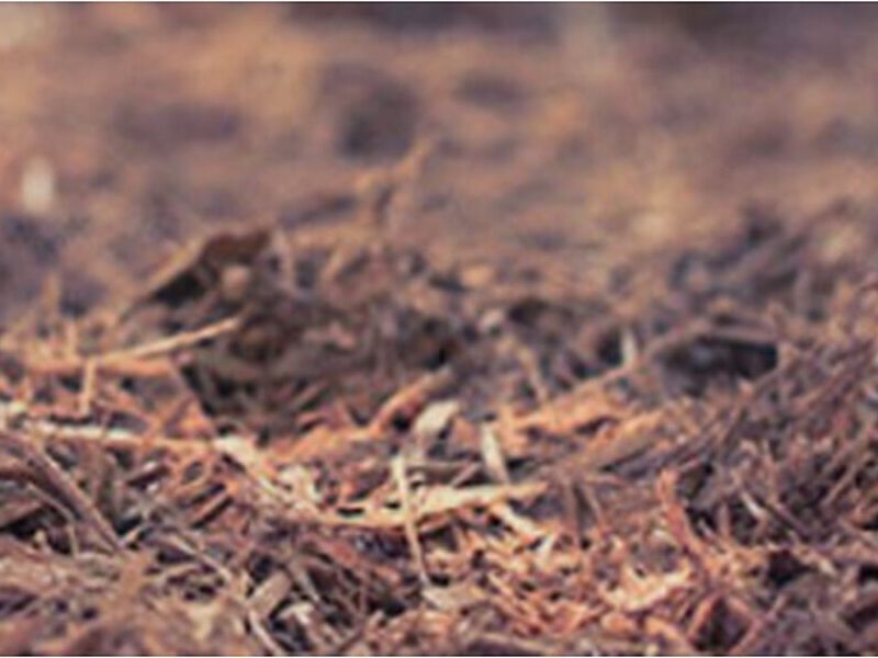 Mulch Madera México