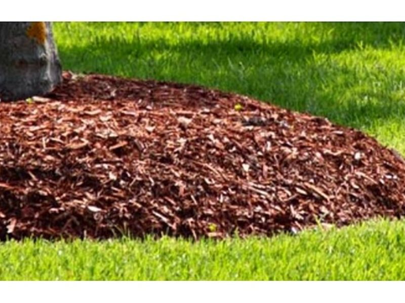 Madera Mulch Mix México