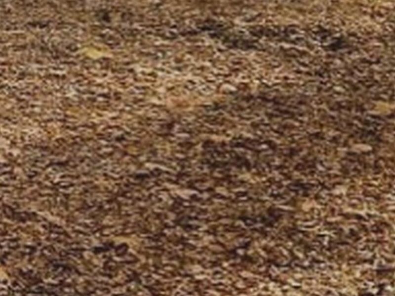 Madera Mulch Fibra Agave México