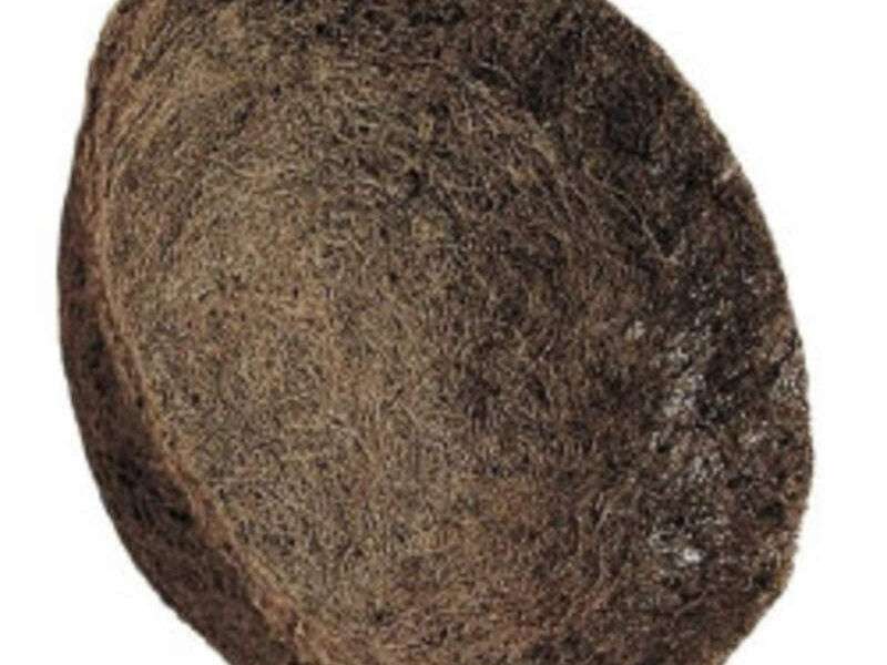 FORRO DE COCO Mexico
