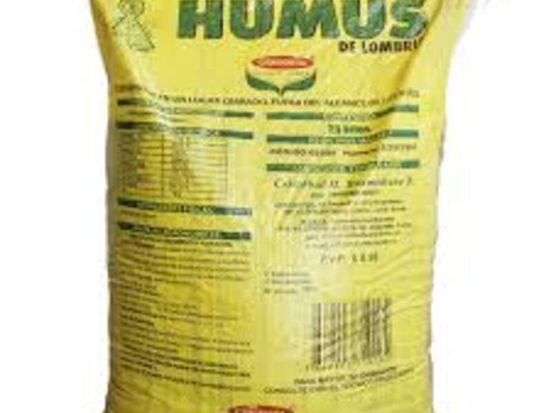 Humus mexico
