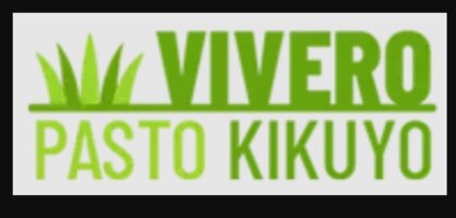 Vivero Pasto Kikoyu