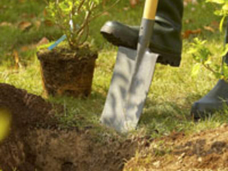 Herramientas para plantar Mexico