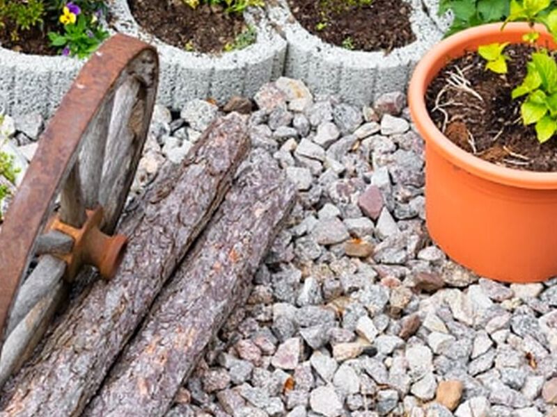 Venta de plantas MEXICO