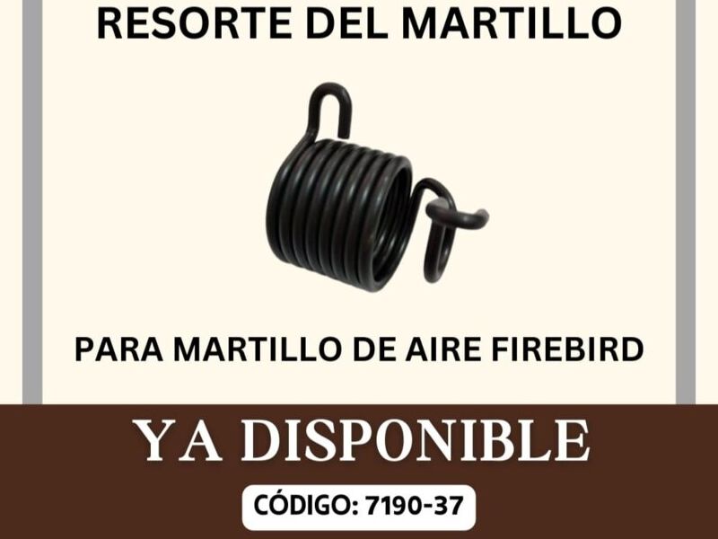 Resorte del martillo