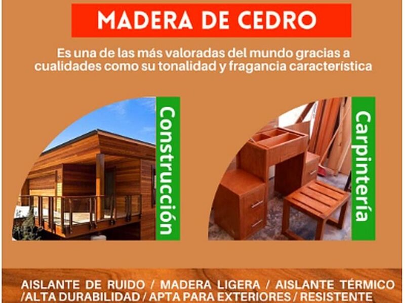 Madera Cedro México