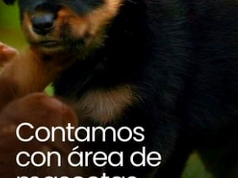 Hogar Inmobiliaria México