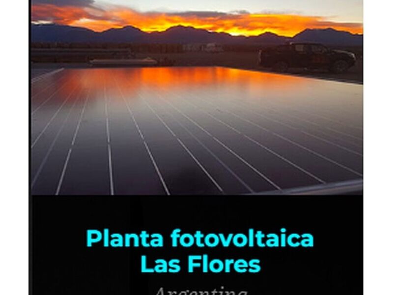 PROYECTO DE PLANTA FOTOVOLTAICA LAS FLORES