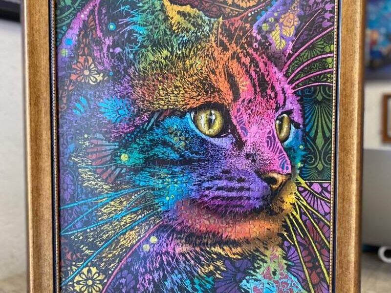 Cuadro Decorativo Gato Colores Qro
