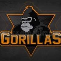 MATERIALES GORILLAS