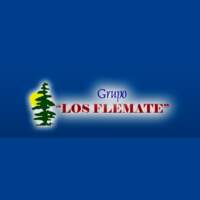 Grupo "Los Flemate"