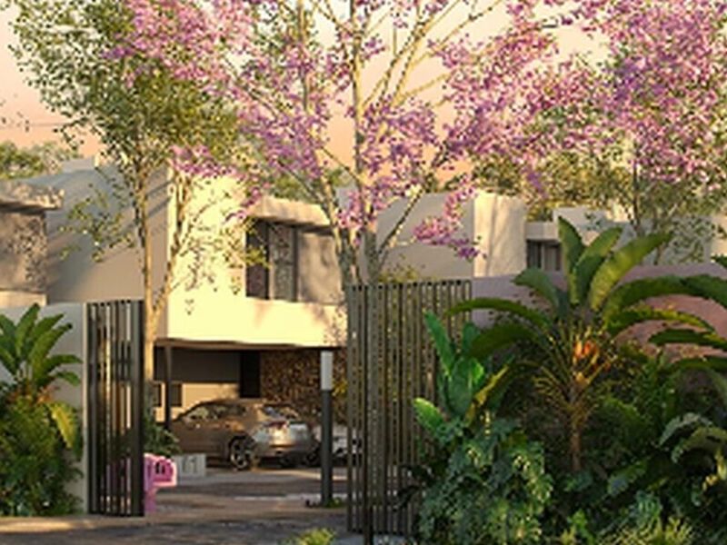 Casa rosamora méxico