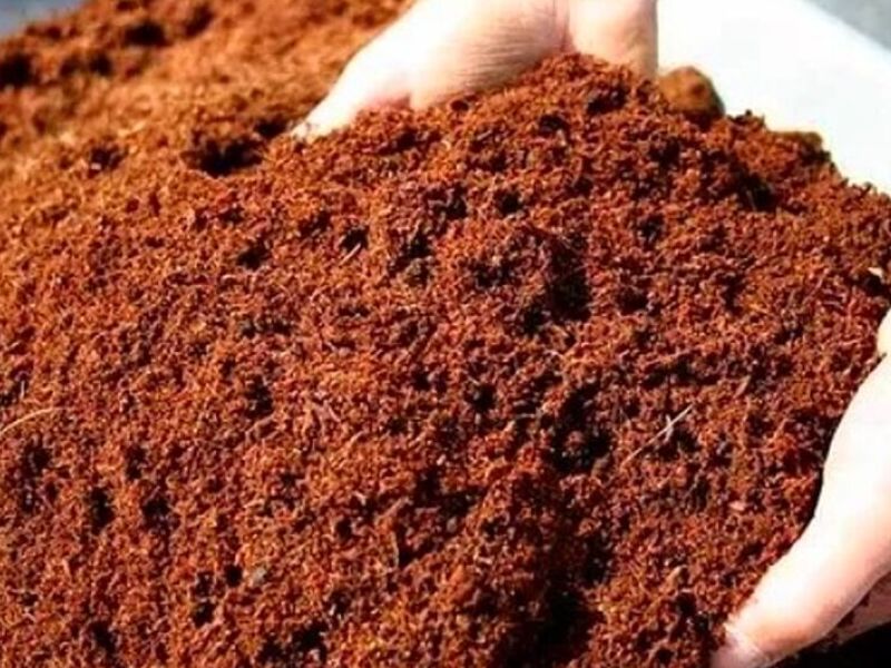 Humus de lombriz México