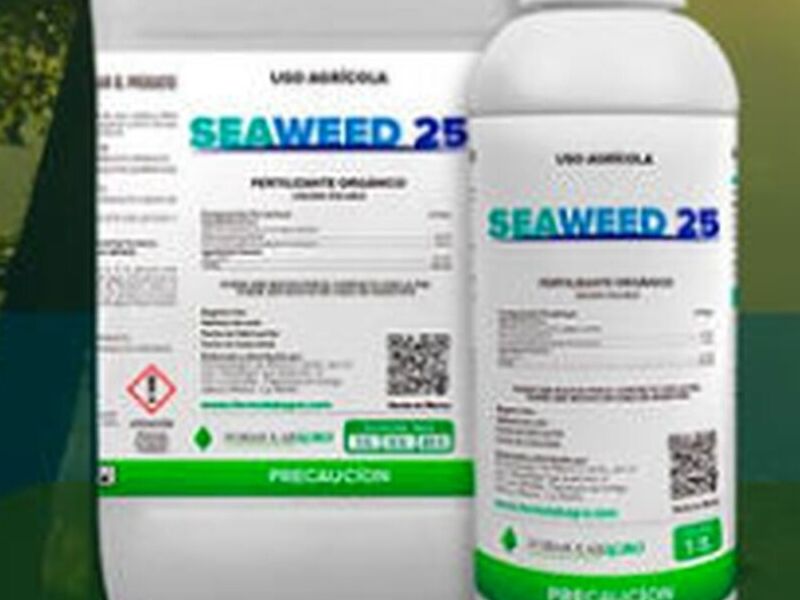 Seaweed México