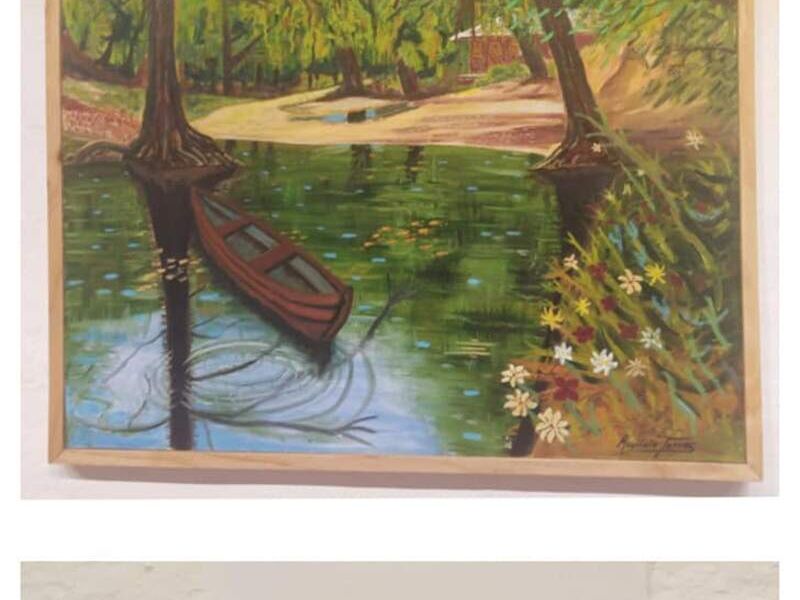 Cuadro Decorativo Pantano Qro