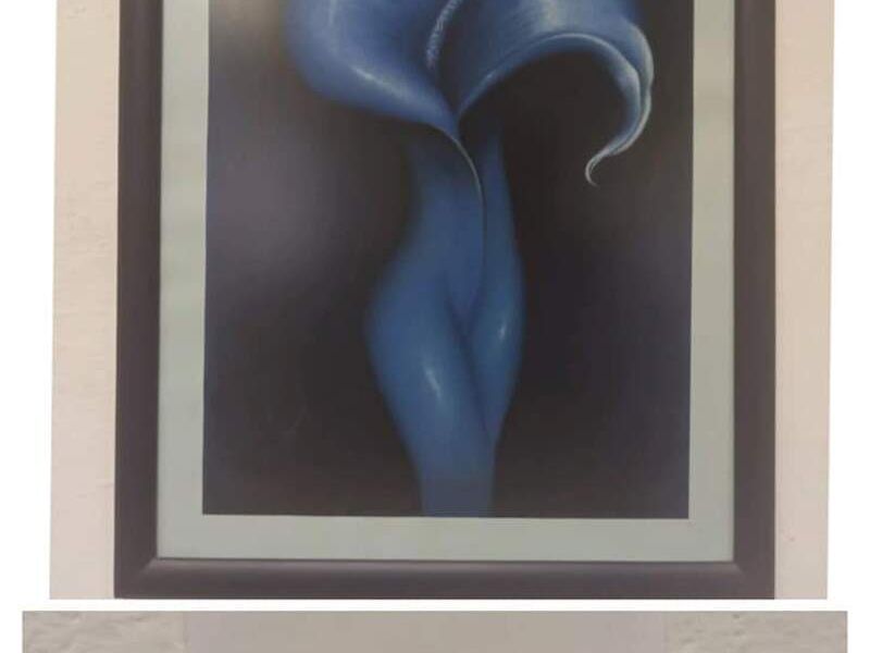 Cuadro Decorativo Metamorfosis Qro