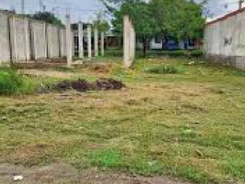 VENTA LOTE DORADO MÉXICO