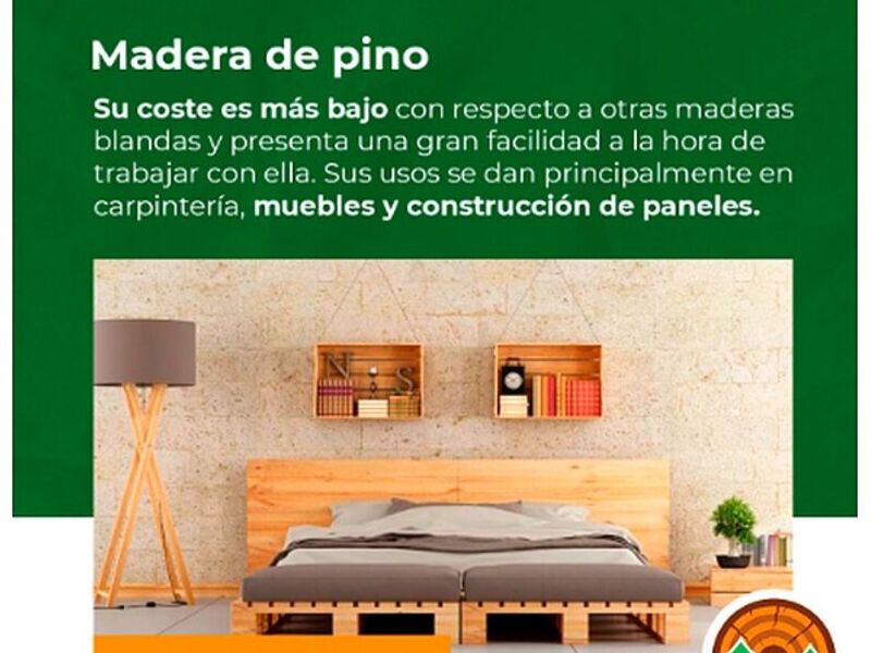 Madera de pino