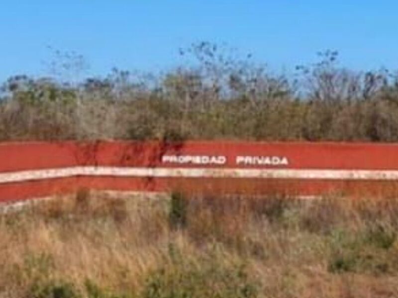 Terreno Chicxulub  néxico