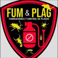 Fumigaciones Fum&Plag