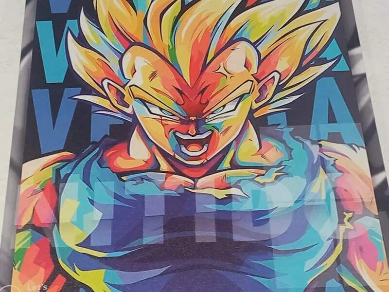 Cuadro Decorativo Vegeta Qro