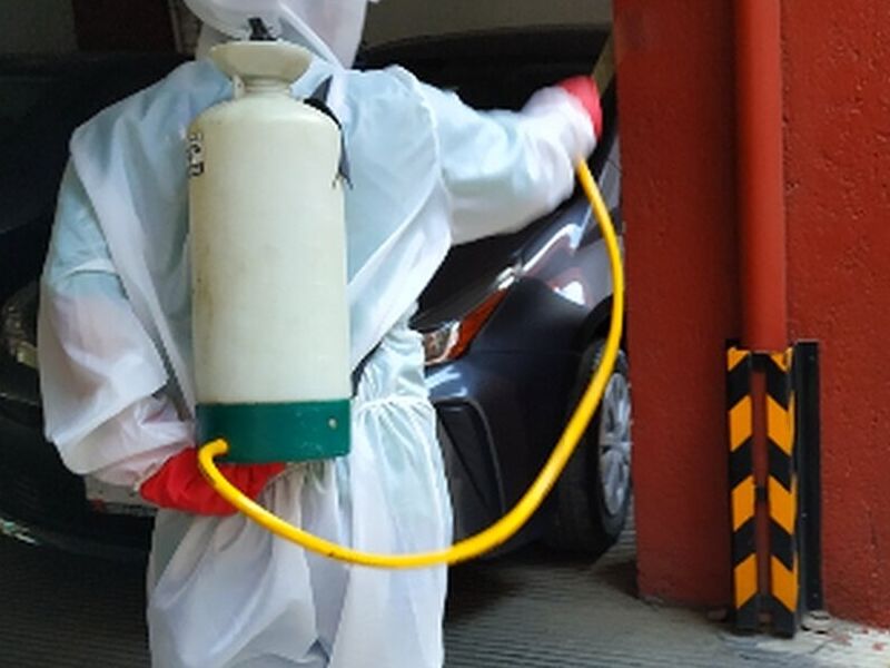 Fumigación Preventiva México