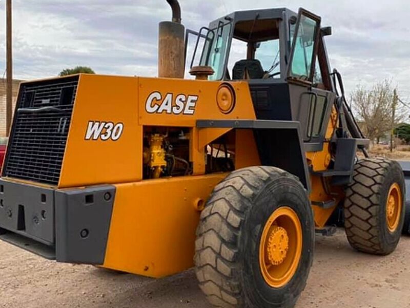 Cargador Case W30 México