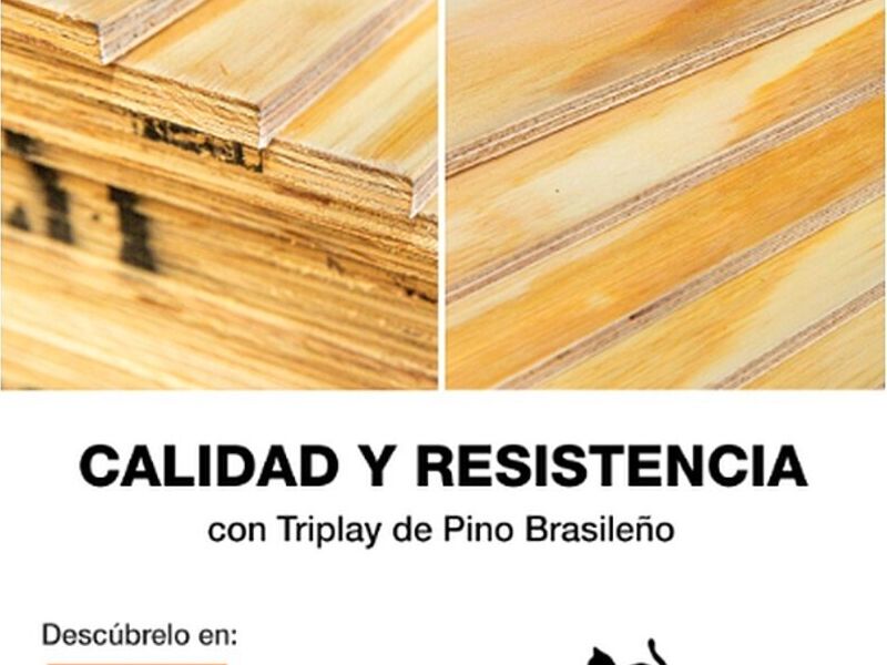 Triplay pino brasileño