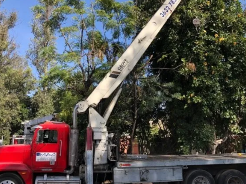 GRUAS DE PLATAFORMA MONTERREY