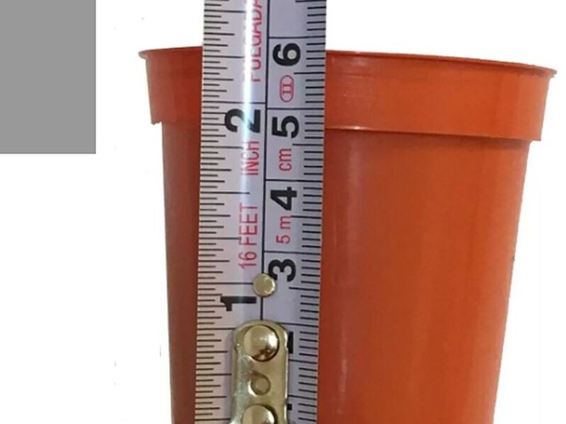 Macetas Plastico 2.5" (100 Piezas) Mexico