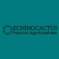 EchinoCactus
