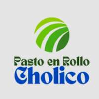 PASTO EN ROLLO CHOLICO