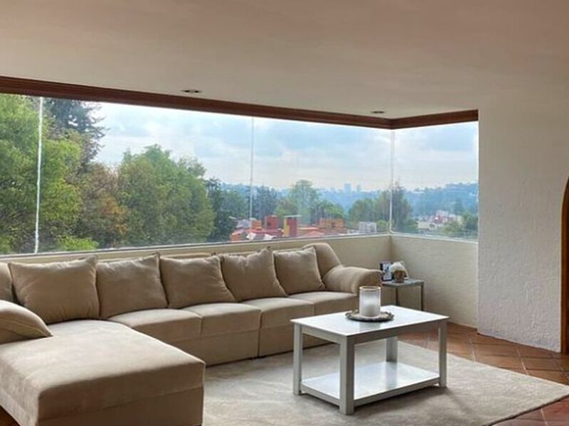 Sala Argentina D22 México